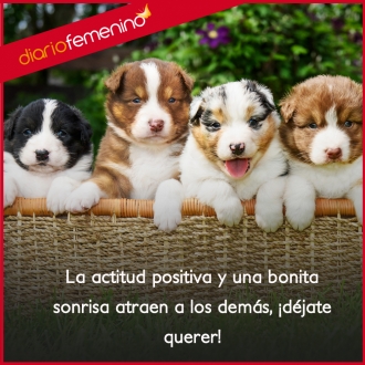 Frases para sonreír: es cuestión de actitud