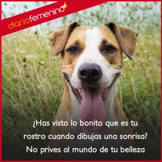 Frases para sonreír: no prives a los demás de tu belleza