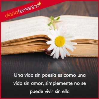 Frases sobre poesías: no se puede vivir sin ella