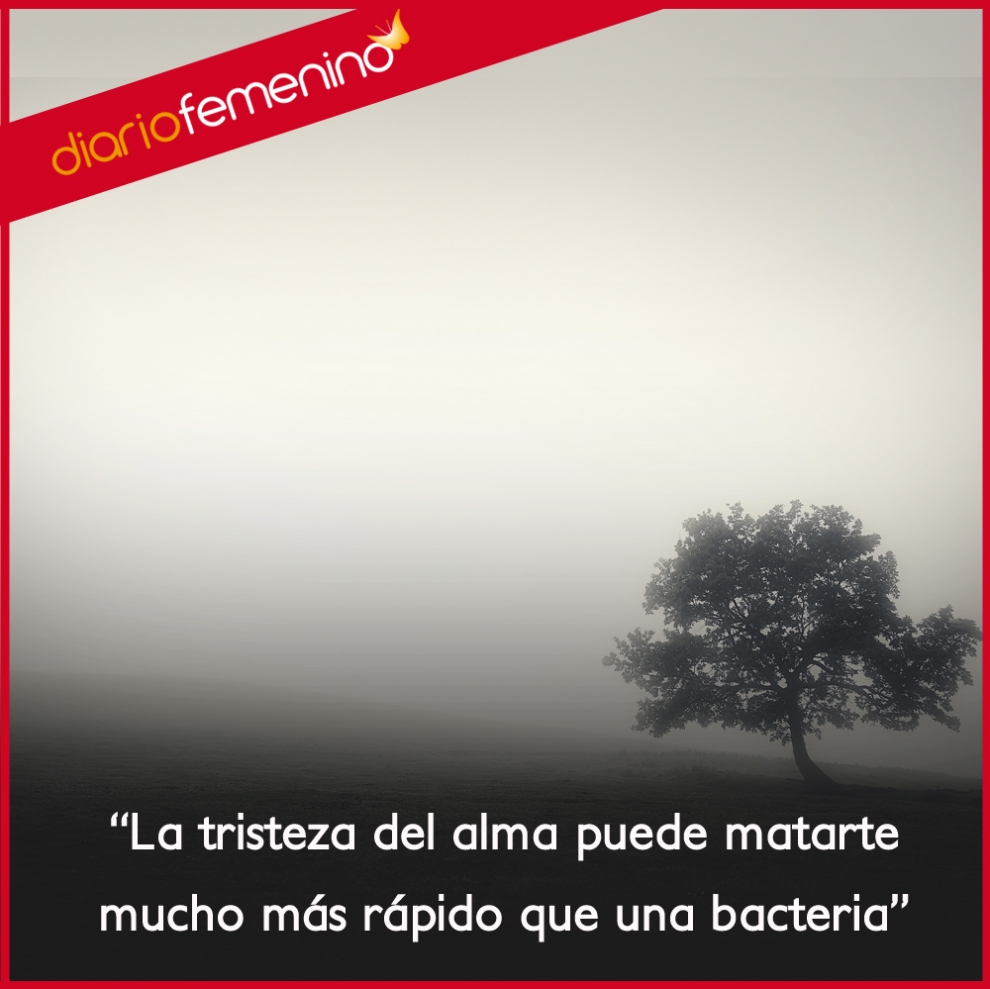 Frases sobre la tristeza: mata más rápido que una bacteria