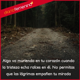 Frases sobre la tristeza: echa raíces