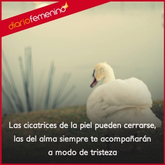 Frases sobre la tristeza: sus cicatrices te acompañan toda la vida