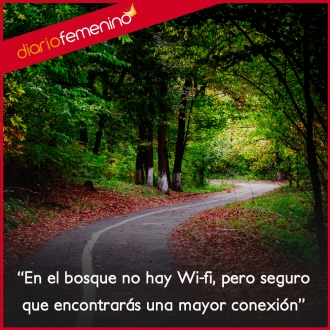 Frases para amar la naturaleza: tu mejor conexión