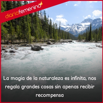 Frasas para amar la naturaleza: una magia infinita