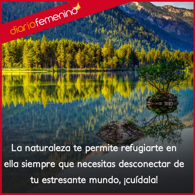 Frases para amar la naturaleza: un gran refugio