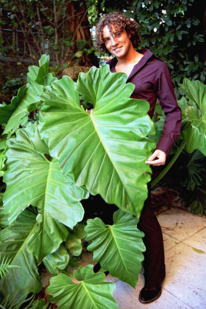 Bisbal y sus camisa se veían a pesar de la naturaleza