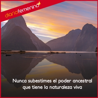 Frases sobre la naturaleza: el mejor espectáculo