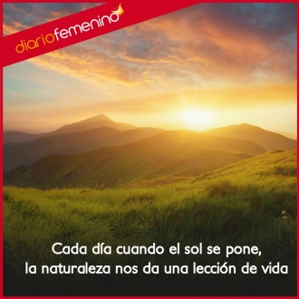 Frases sobre la naturaleza: todo lo que la belleza nos puede dar