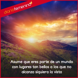 Frases sobre la naturaleza: una lección de vida