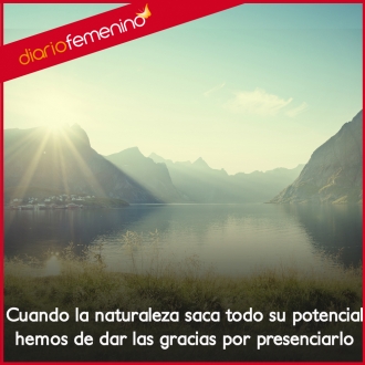 Frases sobre la naturaleza: el mejor regalo de la vida