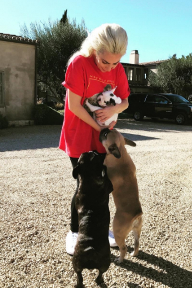 Razones para adorar a Lady Gaga: ama a los animales y la naturaleza