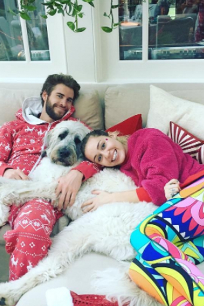 Miley Cyrus y Liam Hemsworth, familia feliz