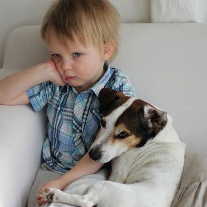 Nuestra mascota, nuestro mejor apoyo