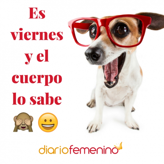 Frases para los viernes