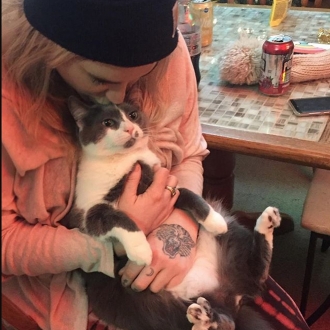 Gatos de famosos: Charlie es el nombre del gato de Kesha