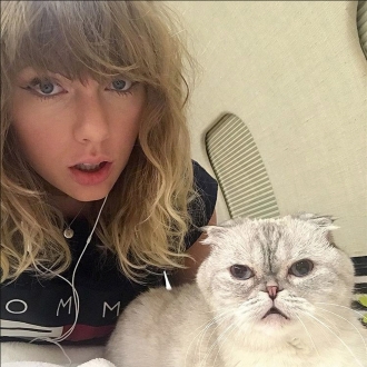 Gatos de famosos: Los felinos de Taylor Swift