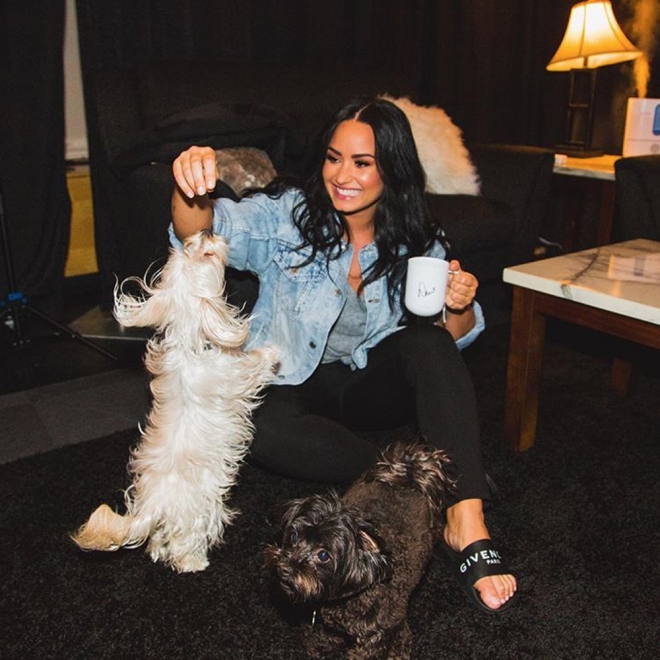Los perros de Demi Lovato se llaman Batman y Cinderella