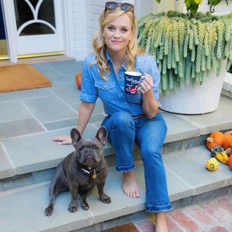 Te presentamos a Pepper, el bulldog francés de Reese Witherspoon