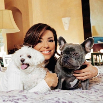 Los adorables perros de Eva Longoria se llaman Jinxy y Popeye