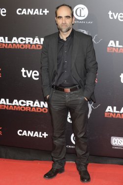 Luis Tosar durante la presentación de 'Alacrán enamorado'