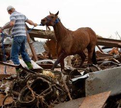 Pesadilla en Oklahoma: vidas destrozadas sin necesidad de morir
