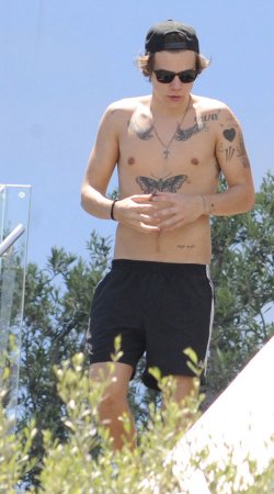 El cuerpazo 'desnudo' de Harry Styles, de One Direction