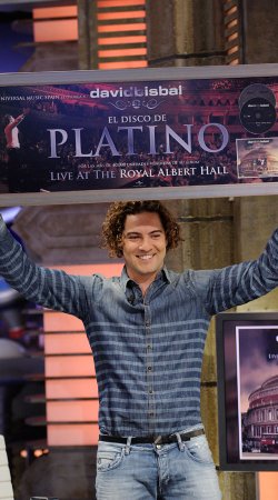 David Bisbal, irresistible y triunfador