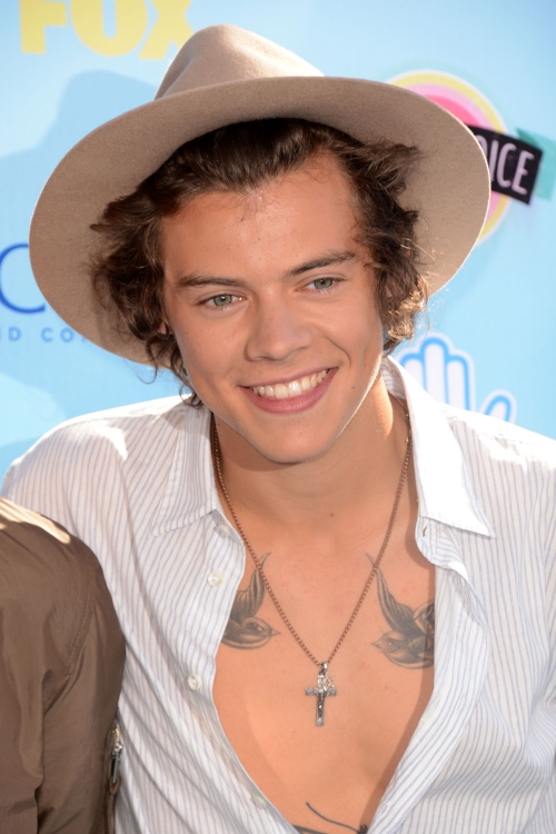 Harry Styles, el cantante de One Direction, aclamado en los Teen Choice Awards 2013