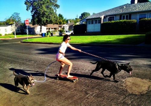 Marie Avgeropoulos, la novia de Taylor Lautner, se lo pasa bien con sus mascotas