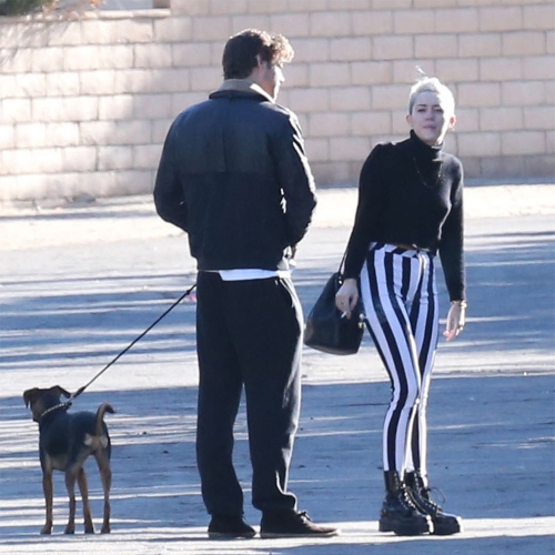 Miley Cyrus y Liam Hemsworth paseando al perro