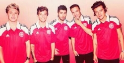 Muy guapos los One Direction con la camiseta de la selección de Dinamarca
