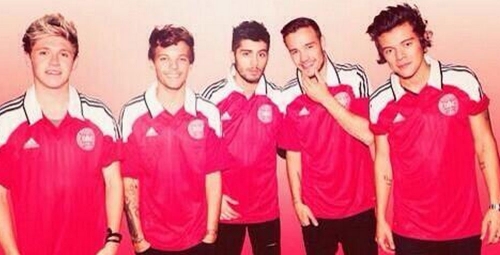 Muy guapos los One Direction con la camiseta de la selección de Dinamarca