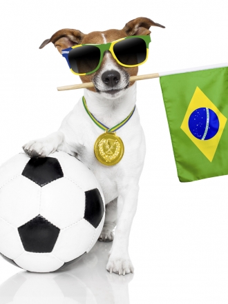 Fotos de perros graciosos: 27 cachorros para comérselos