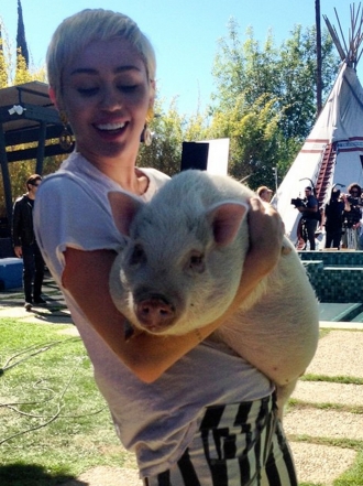 Las mascotas de los famosos