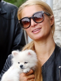 Nombres de perros de famosos: las mascotas de las celebrities