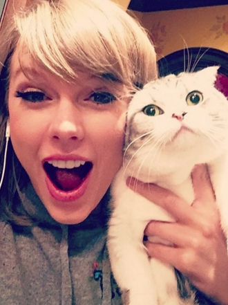 Taylor Swift y otros famosos que adoran a sus gatos