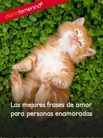 Las mejores frases de amor para personas enamoradas