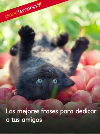 8 frases preciosas para dedicar a tus mejores amigos