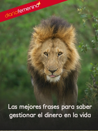 Las mejores frases para saber gestionar el dinero en la vida