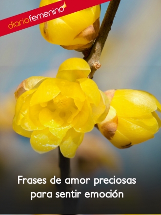 Frases muy románticas para mantener a tu amor verdadero