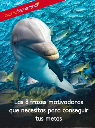 8 maravillosas frases para lograr conseguir tus metas