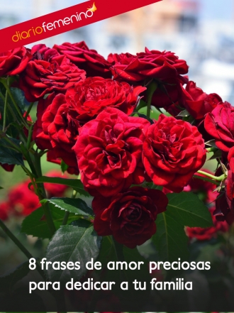 Frases de amor ideales para dedicar a tus familiares