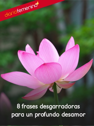 Las frases más desgarradoras sobre desamor