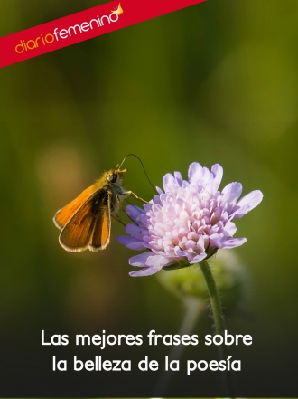 Las mejores frases para celebrar la poesía