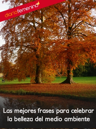 Frases bonitas para celebrar el medio ambiente y la naturaleza