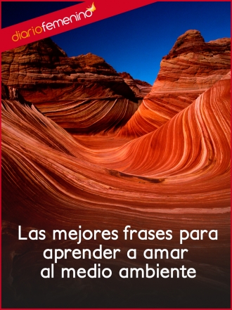 Las mejores frases para aprender a amar al medio ambiente