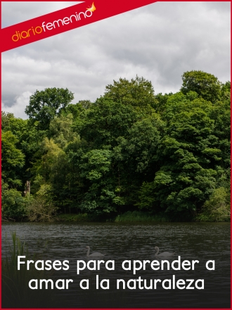 Frases para aprender a amar a la naturaleza