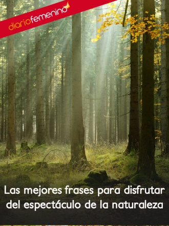 Frases para disfrutar de la maravilla de la naturaleza