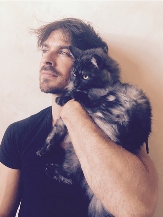 Nombres de gatos de famosos: las mascotas de las celebrities