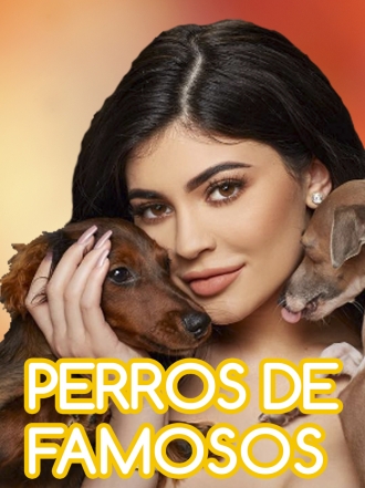 Nombres de Perros Famosos (De la D a la H)